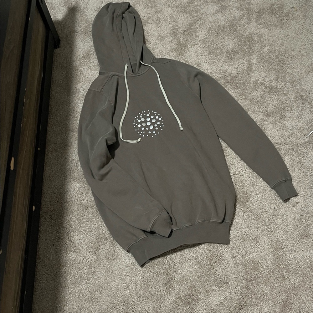 NWOT Rick Owen FW 24 Porterville hoodie in Dust Men’s XS